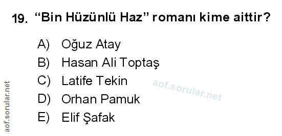 Soru 19