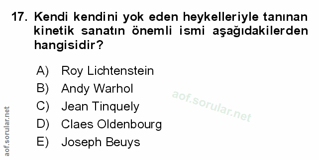 Soru 17