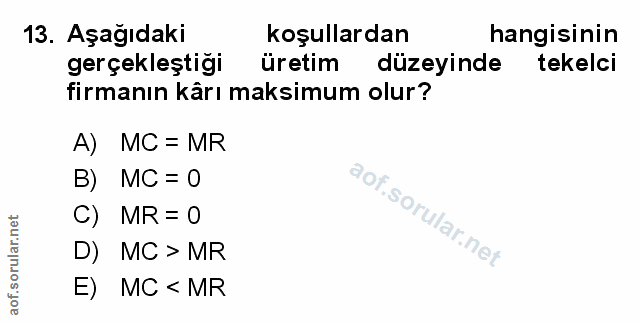 Soru 13