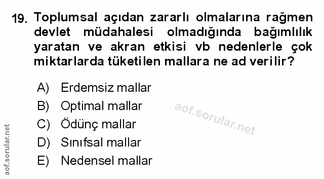 Soru 19