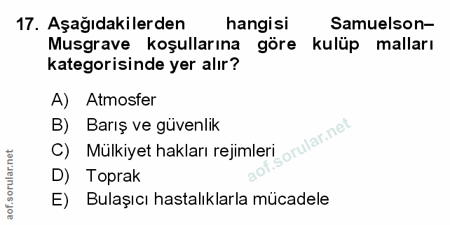 Soru 17