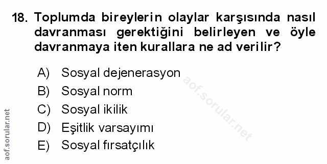 Soru 18