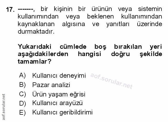 Soru 17