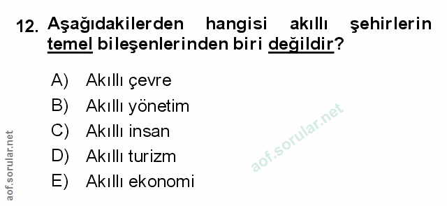 Soru 12
