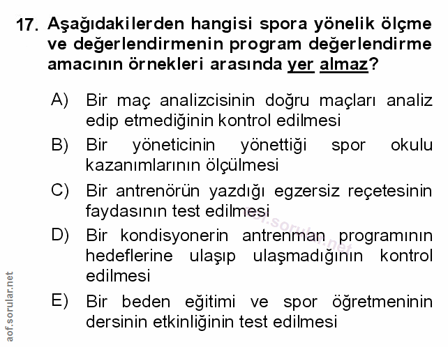 Soru 17