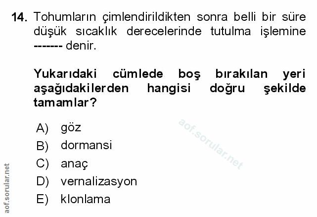 Soru 14