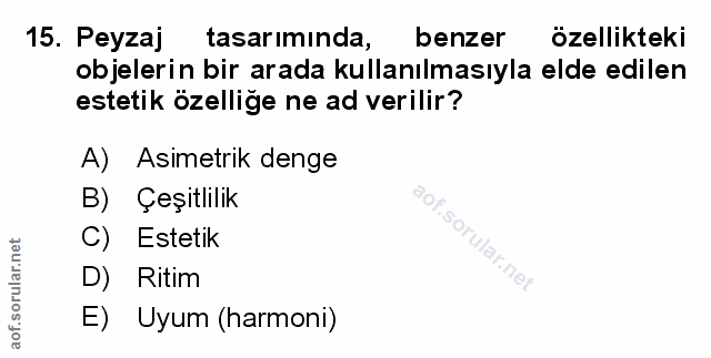 Soru 15