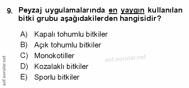 Soru 9