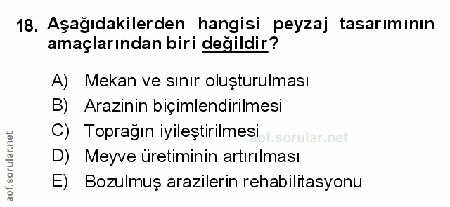 Soru 18