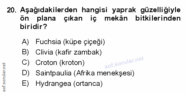 Soru 20