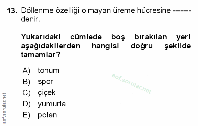 Soru 13