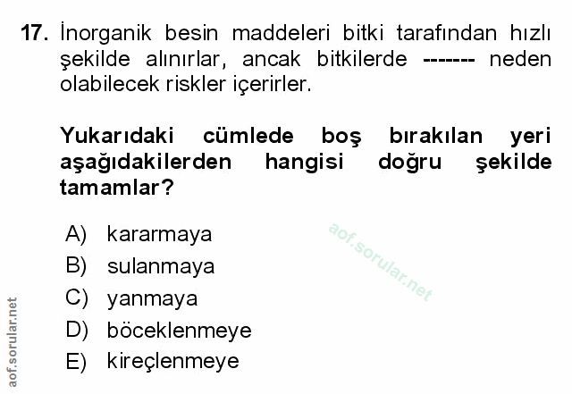 Soru 17