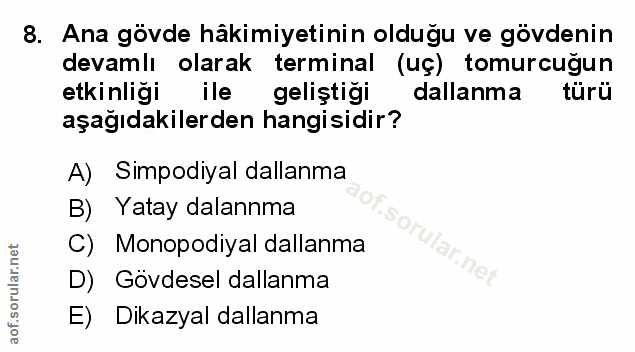 Soru 8