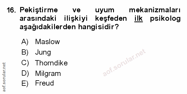 Soru 16