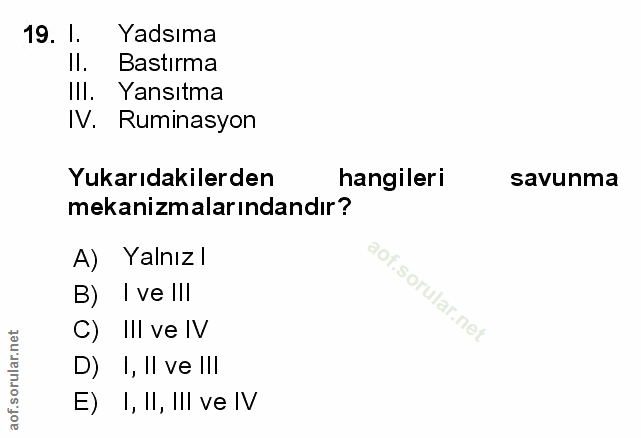 Soru 19