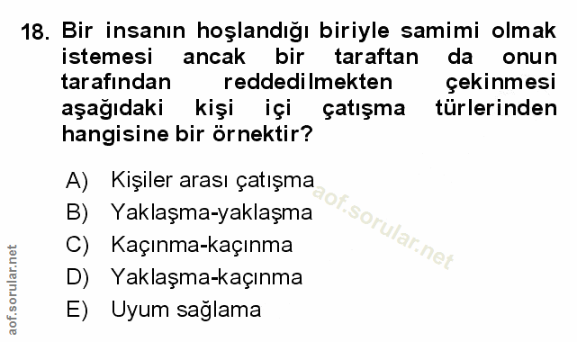 Soru 18