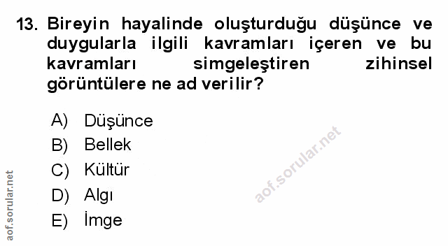 Soru 13