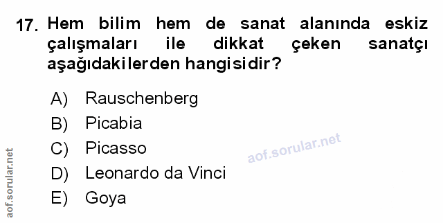 Soru 17