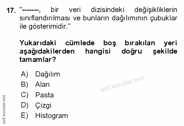 Soru 17