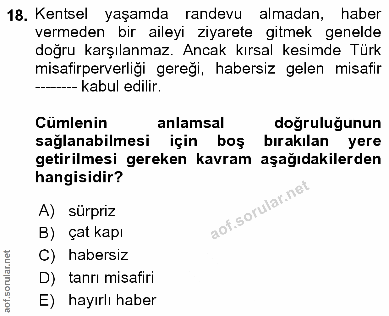 Soru 18