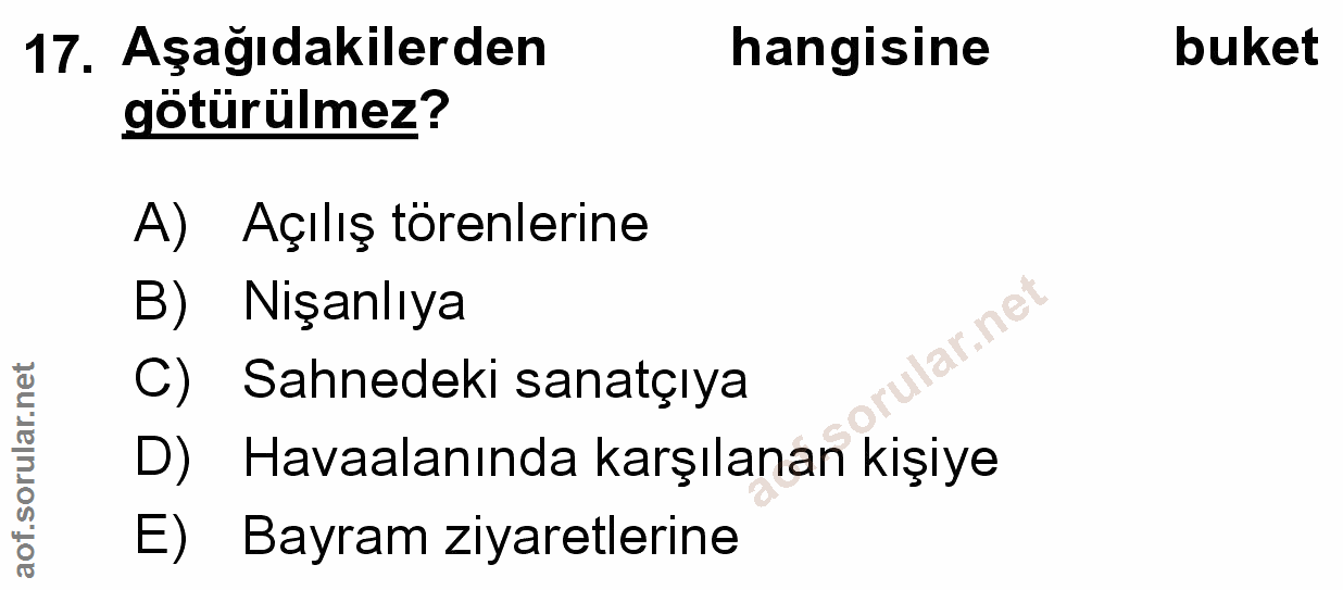 Soru 17