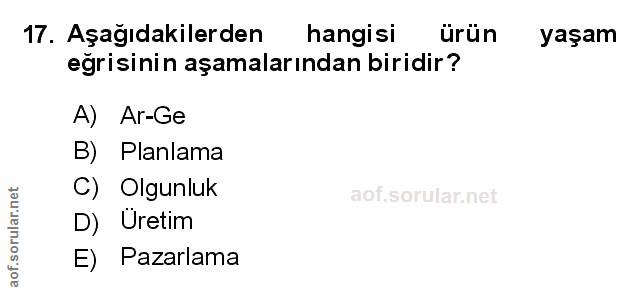 Soru 17