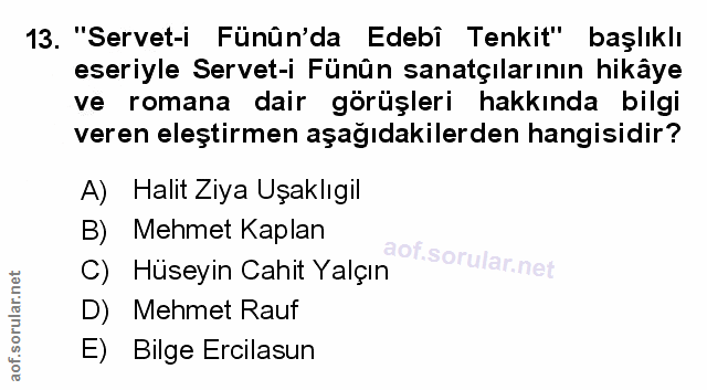 Soru 13