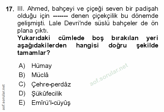 Soru 17