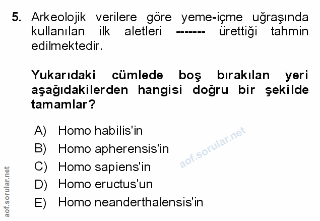 Soru 5