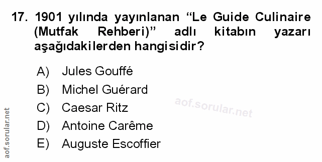 Soru 17