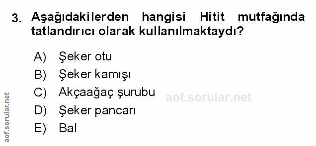 Soru 3