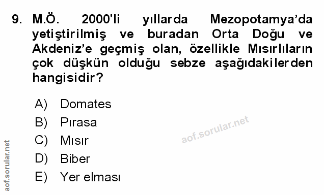 Soru 9