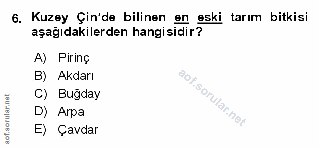 Soru 6