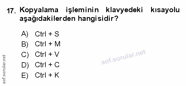 Soru 17