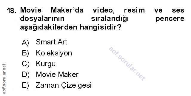 Soru 18