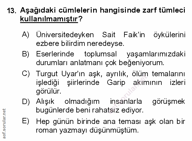 Soru 13