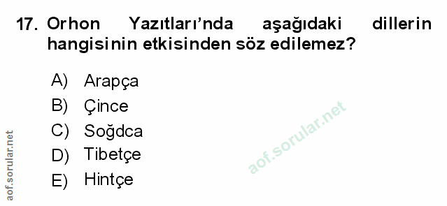 Soru 17
