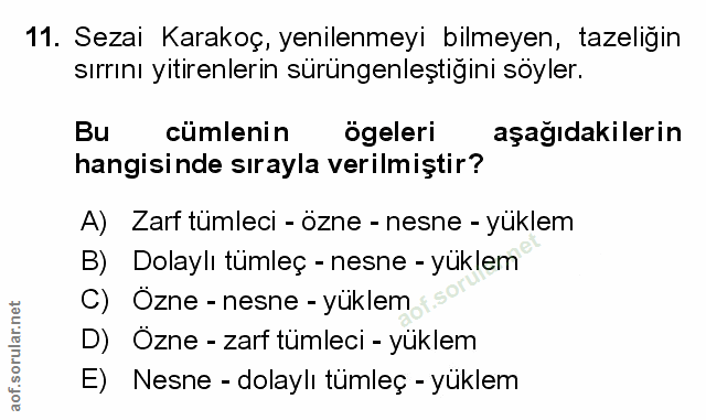 Soru 11