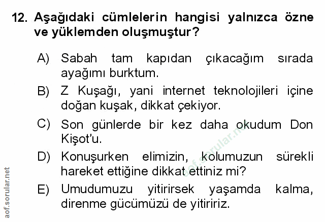 Soru 12
