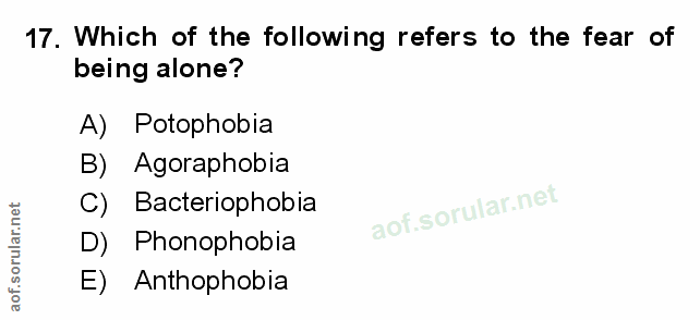 Soru 17