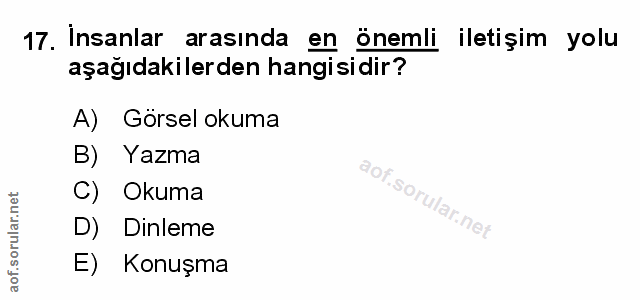 Soru 17