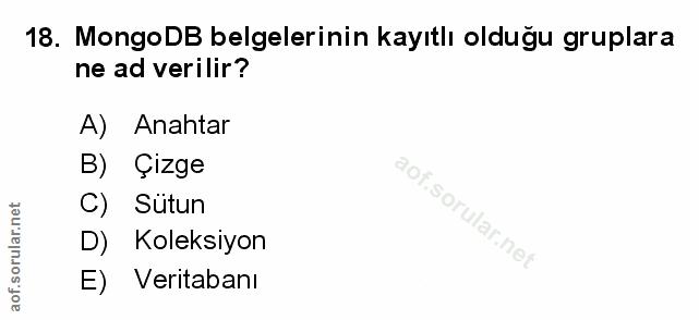 Soru 18