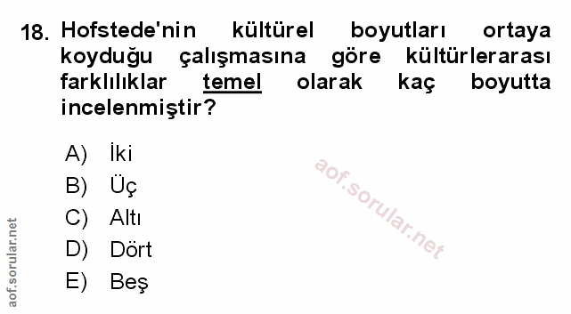 Soru 18