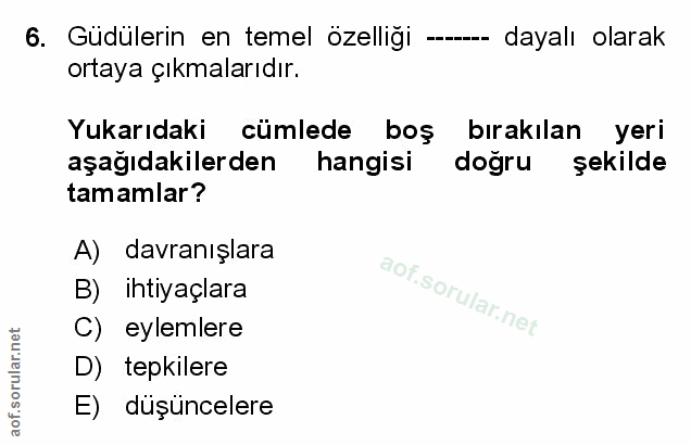 Soru 6