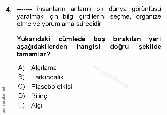 Soru 4