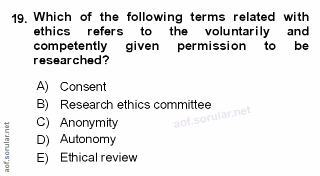Soru 19