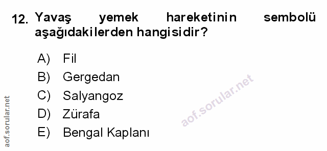 Soru 12