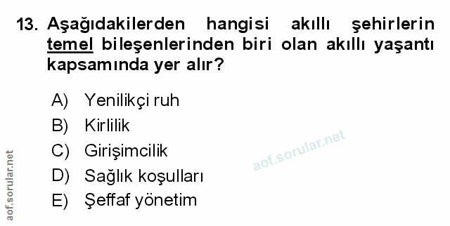 Soru 13