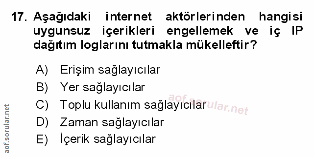 Soru 17