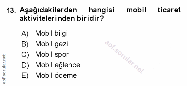 Soru 13